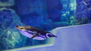 Thumbnail of post image 003