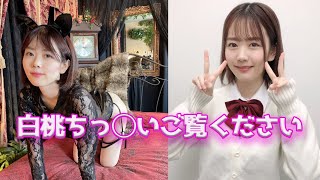Thumbnail of post image 170